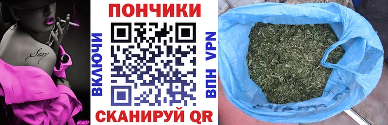 Каннабис индика  продажа наркотиков  Волосово 